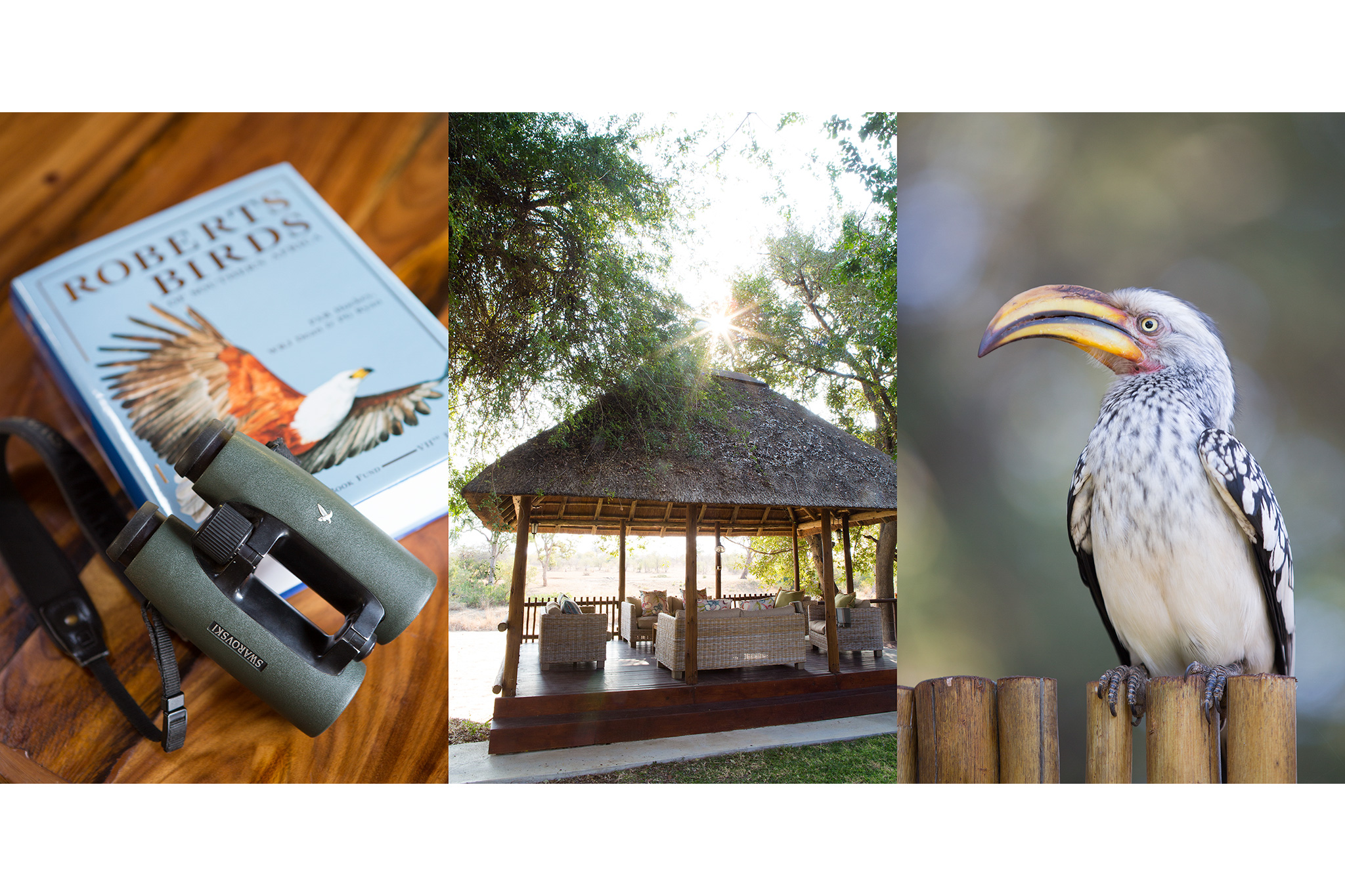 lodge-photography-22