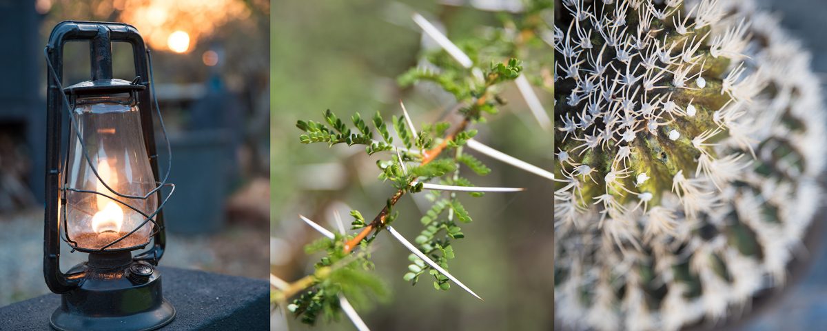 lodge-photography-24