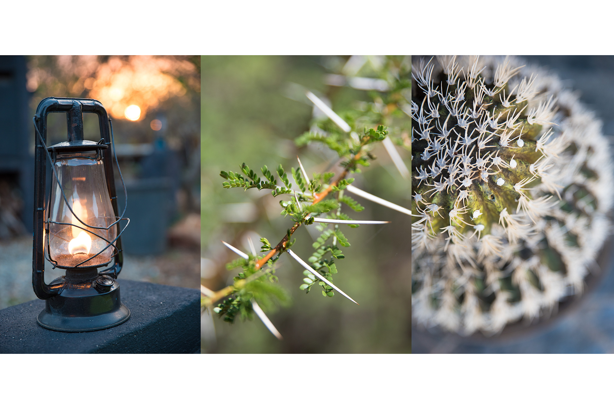 lodge-photography-24