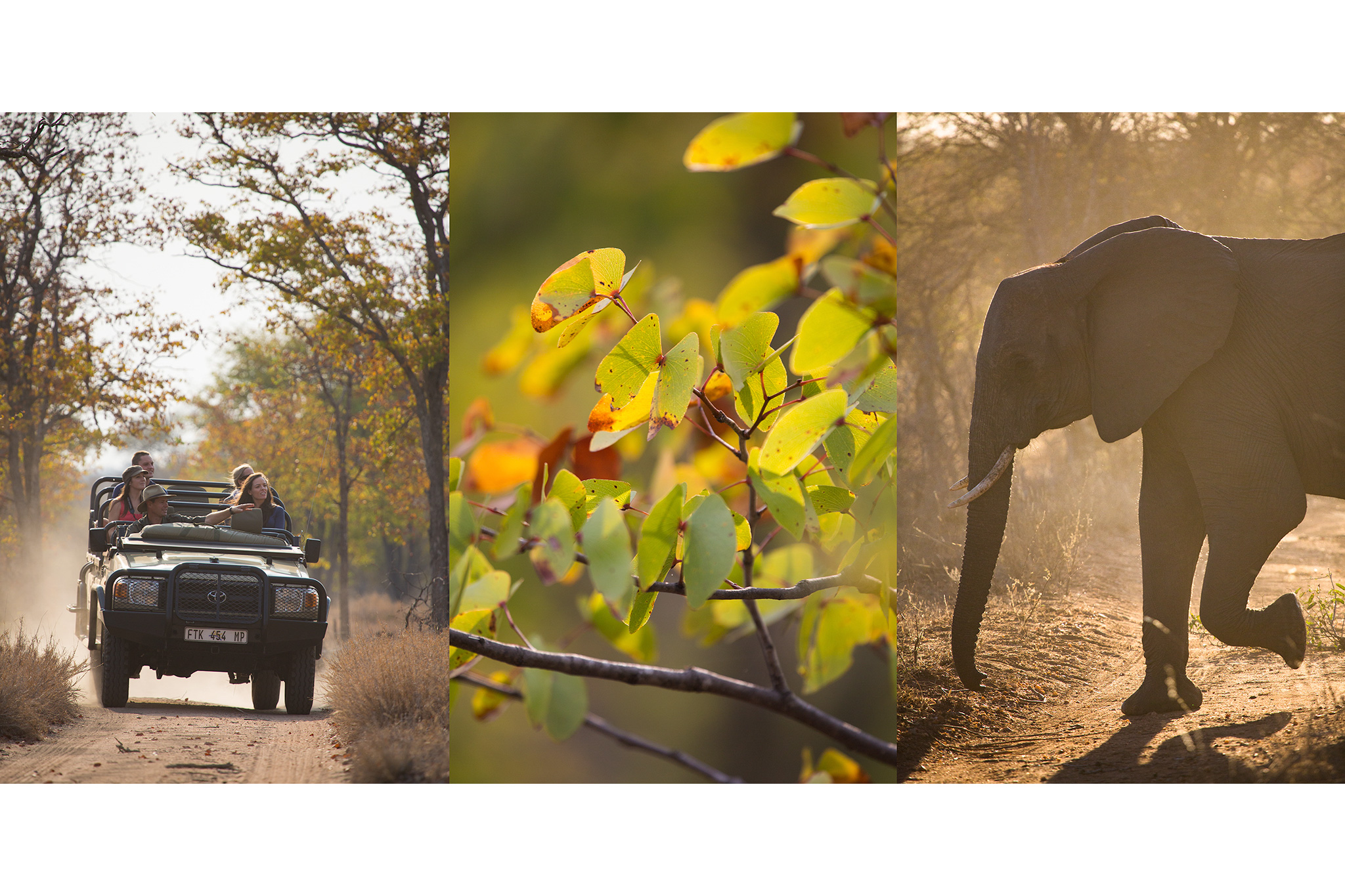 lodge-photography-20