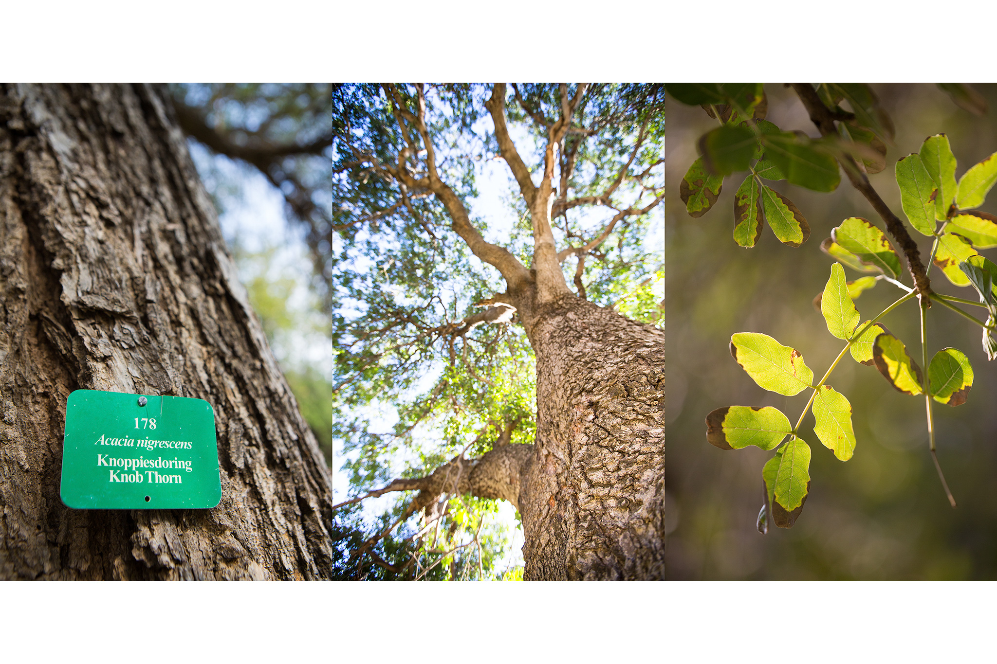 lodge-photography-21