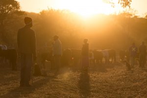 event-photography-11