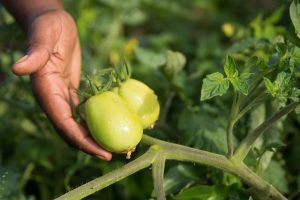 event-photography-13