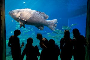 event-photography-38