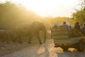 event-photography-39