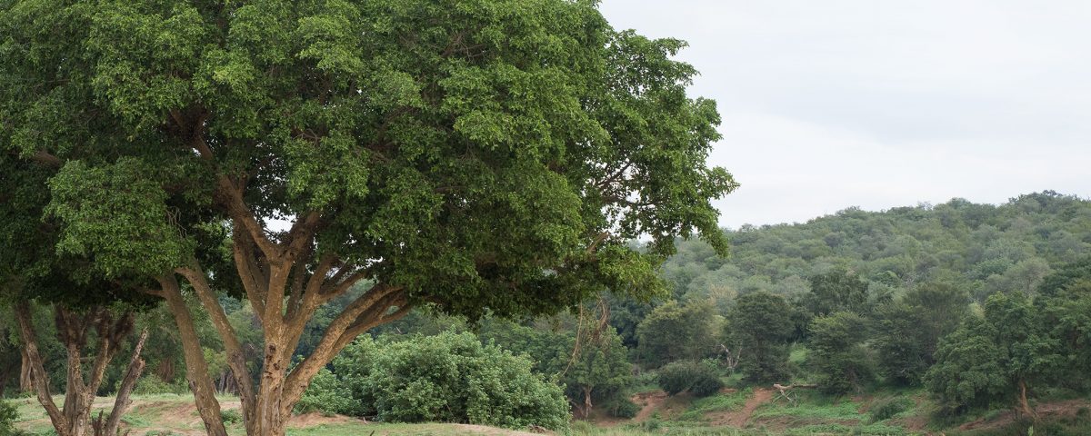 lodge-photography-62