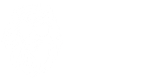 The Safari Expert logo